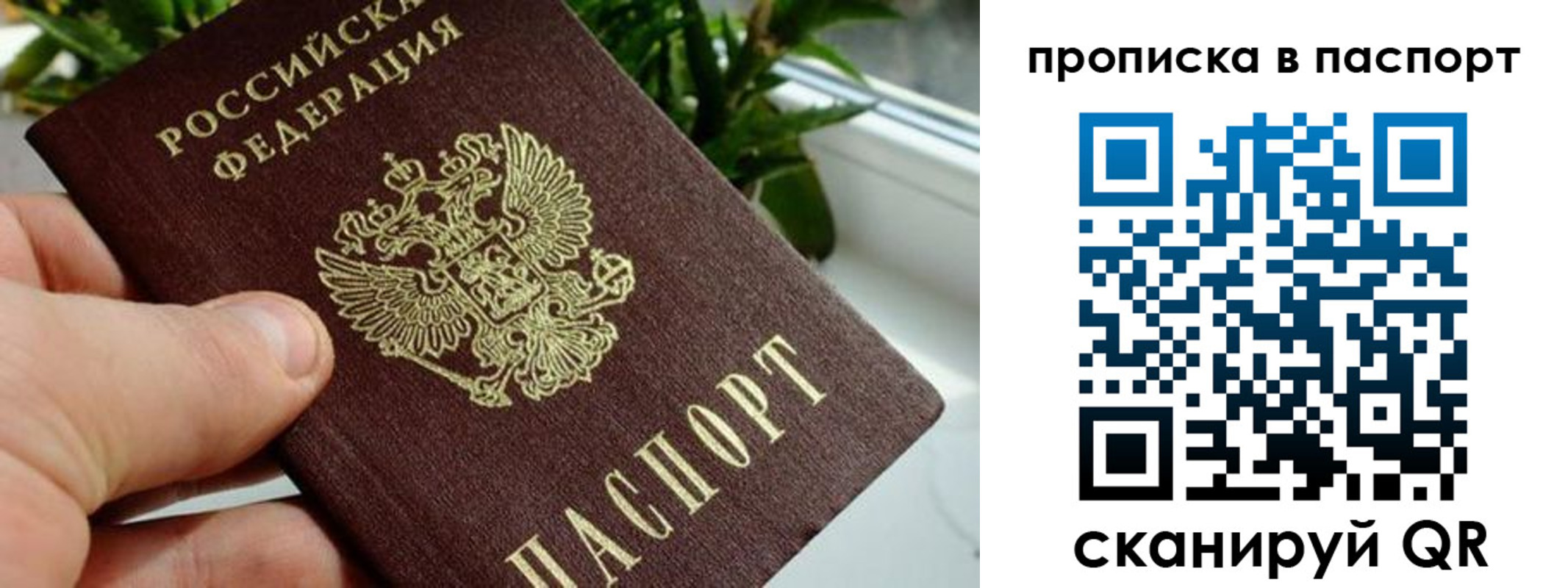 пропишу в квартире в Осе